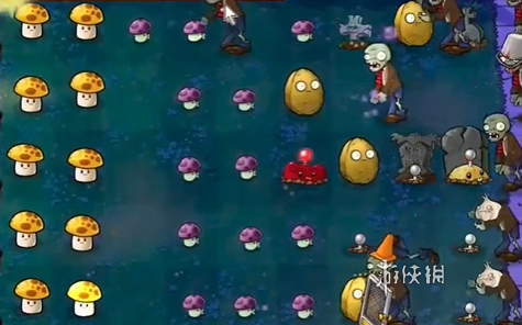 植物大战僵尸抽卡版冒险模式2-2怎么过(图7) 植物大战僵尸抽卡版冒险模式2-2怎么过(图7)